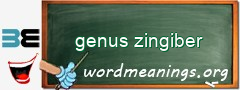 WordMeaning blackboard for genus zingiber